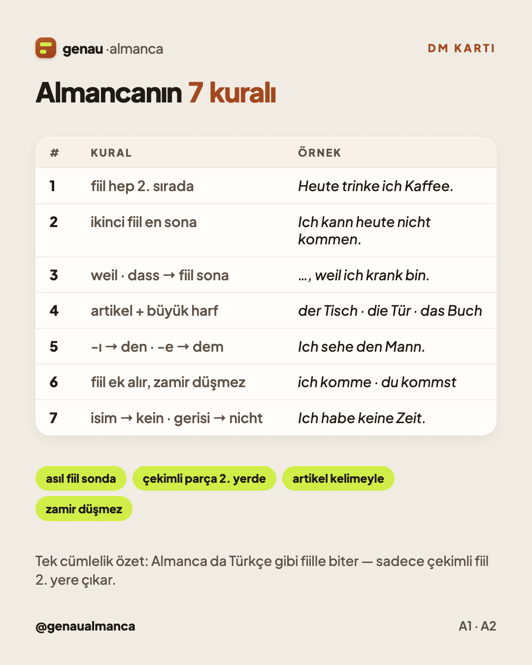 Almancanın en önemli 7 kuralı — fiilin yeri, artikel, kein ve nicht — Cep kartı