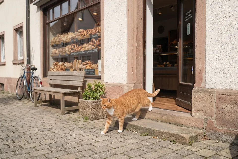 Jetzt kommt sie aus der Bäckerei.