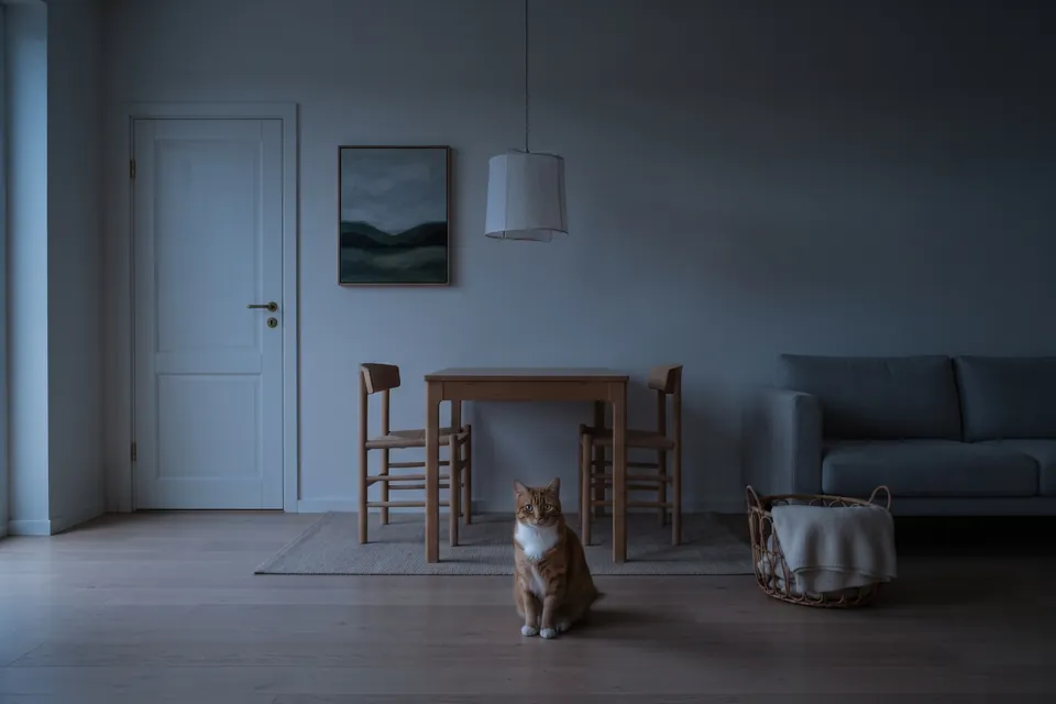 In der Dunkelheit sieht die Katze sehr gut.