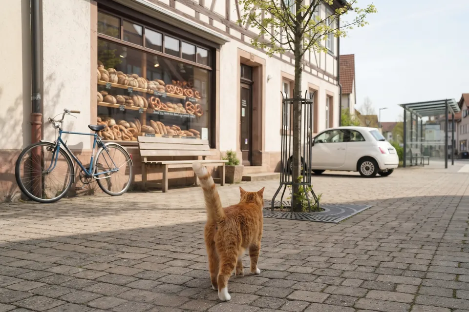 Die Katze geht weg: Tschüss!